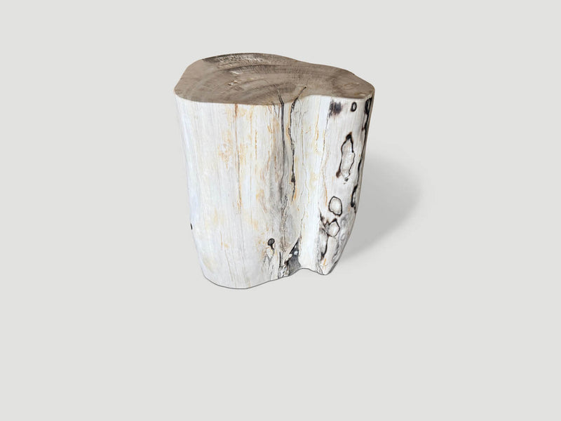 Modern Organic Minimalist Petrified Wood Side Table