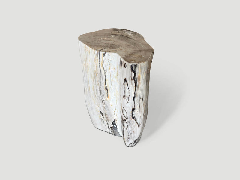 Modern Organic Minimalist Petrified Wood Side Table