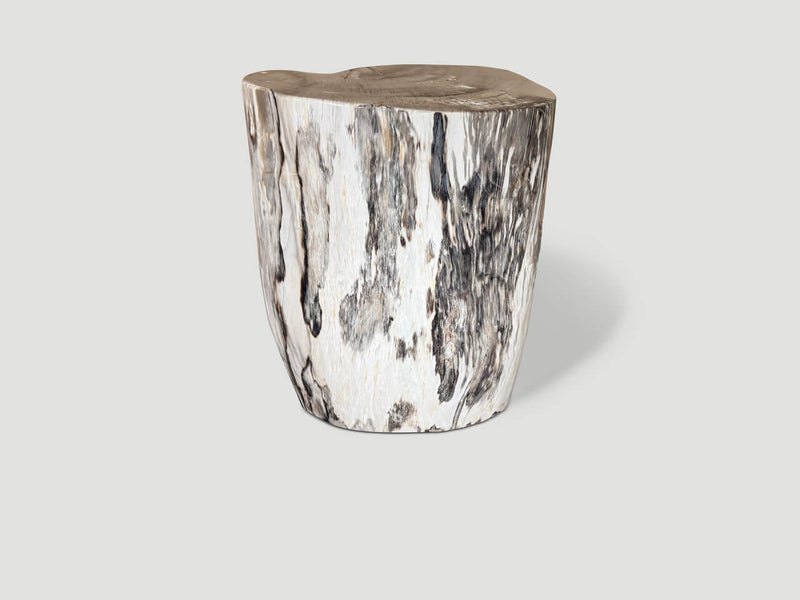 Modern Organic Minimalist Petrified Wood Side Table