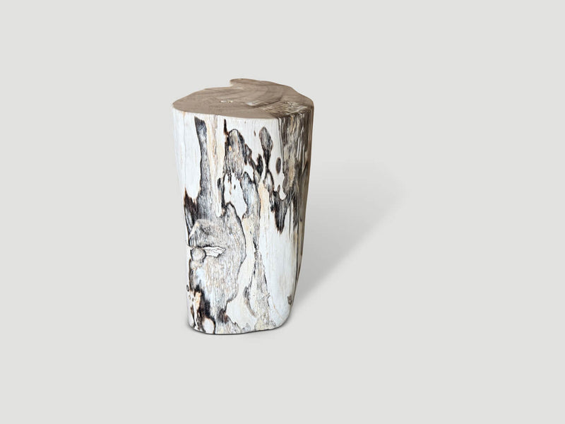 Modern Organic Minimalist Petrified Wood Side Table