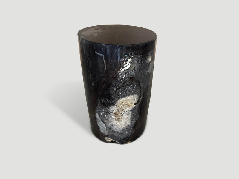 Minimalist Column Petrified Wood Side Table