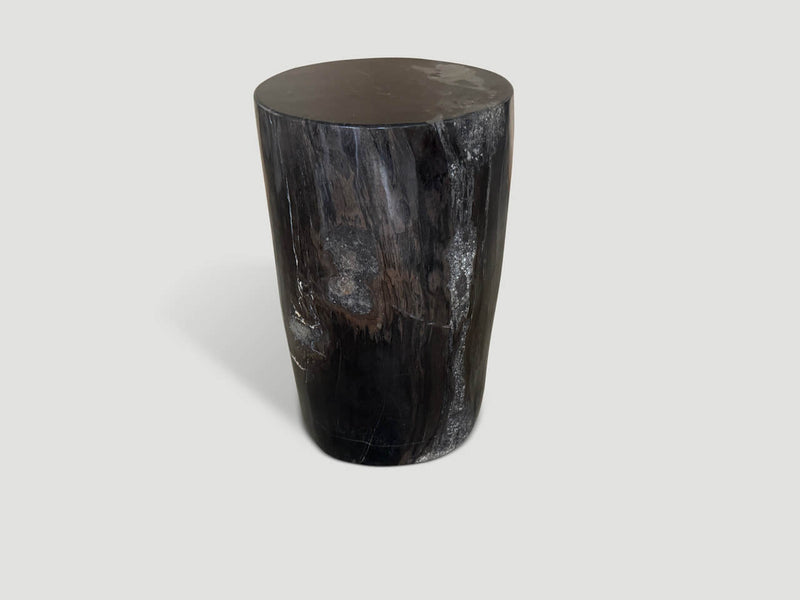 Minimalist Column Petrified Wood Side Table