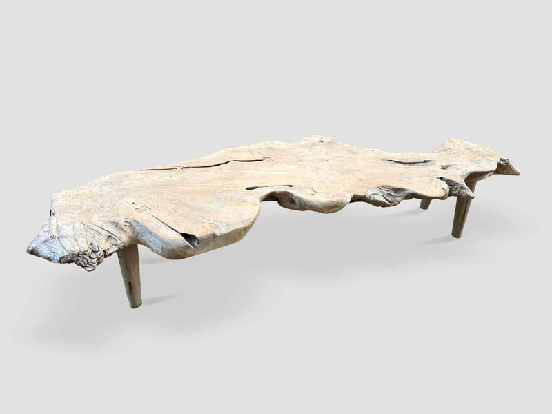 Sculptural Organic Coffee Table