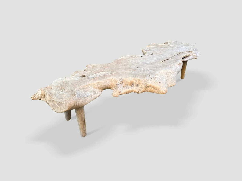 Sculptural Organic Coffee Table