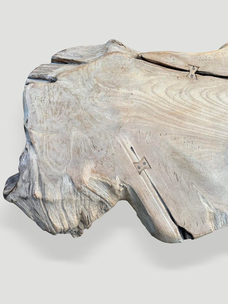 Sculptural Organic Coffee Table