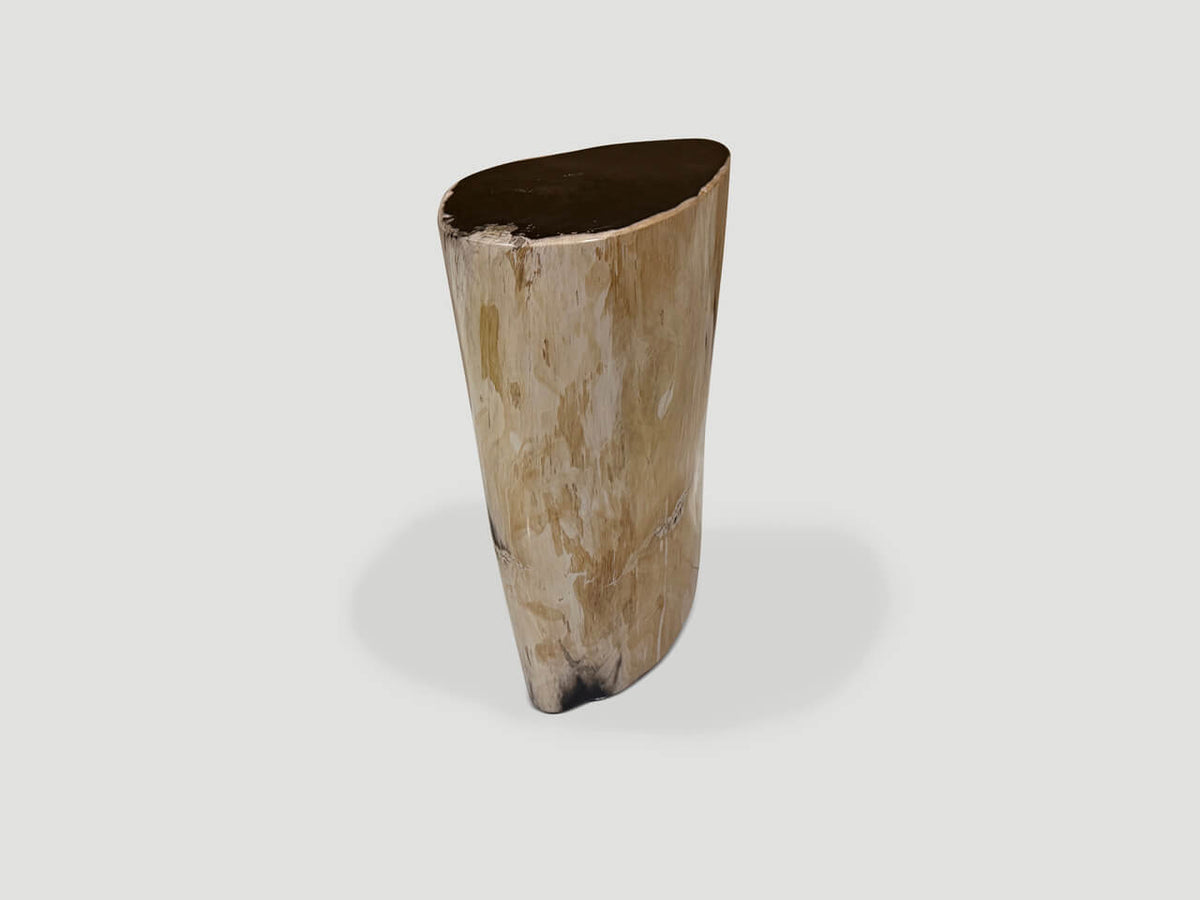 High Quality Petrified Wood Side Table