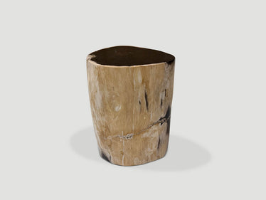High Quality Petrified Wood Side Table