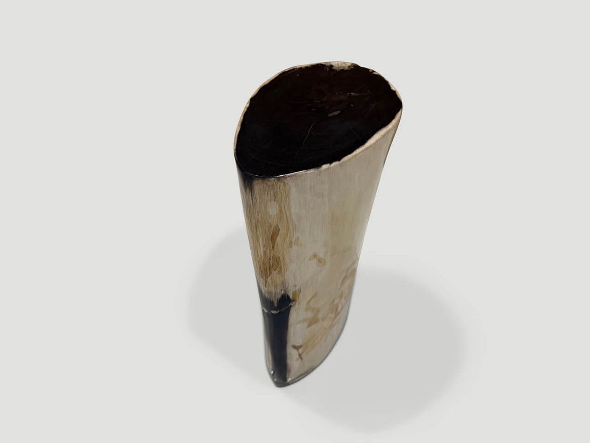 High Quality Petrified Wood Side Table