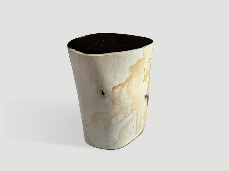 High Quality Petrified Wood Side Table