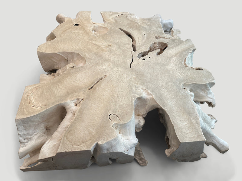 Monumental Bleached Organic Root Coffee Table
