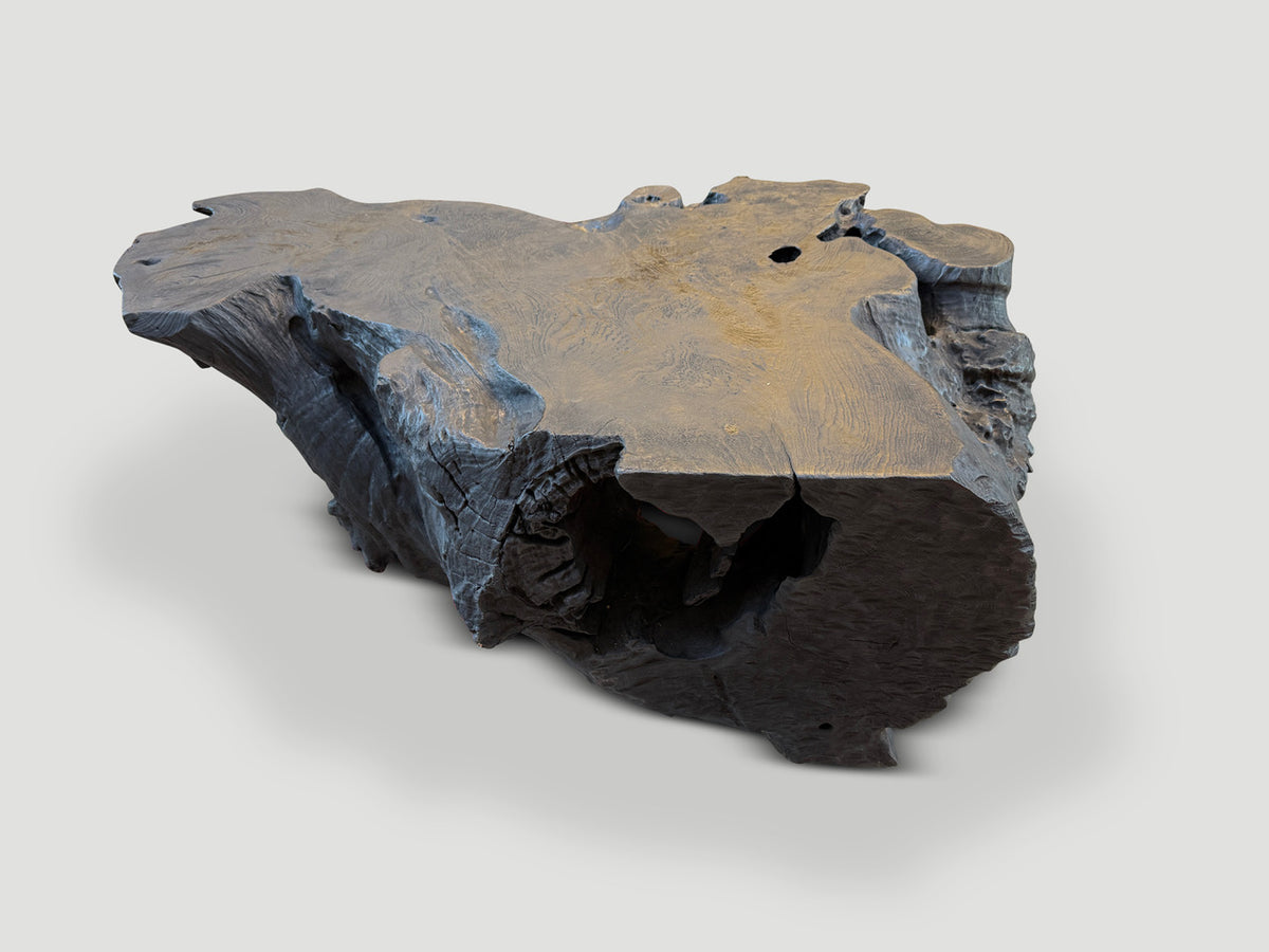 Sculptural Charred Teak Wood Coffee Table or Bench