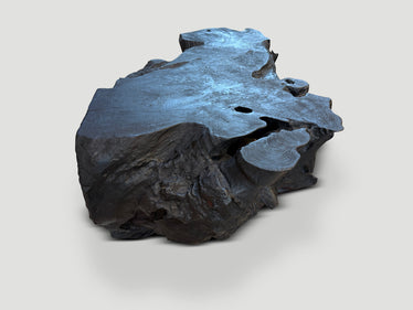 Sculptural Charred Teak Wood Coffee Table or Bench