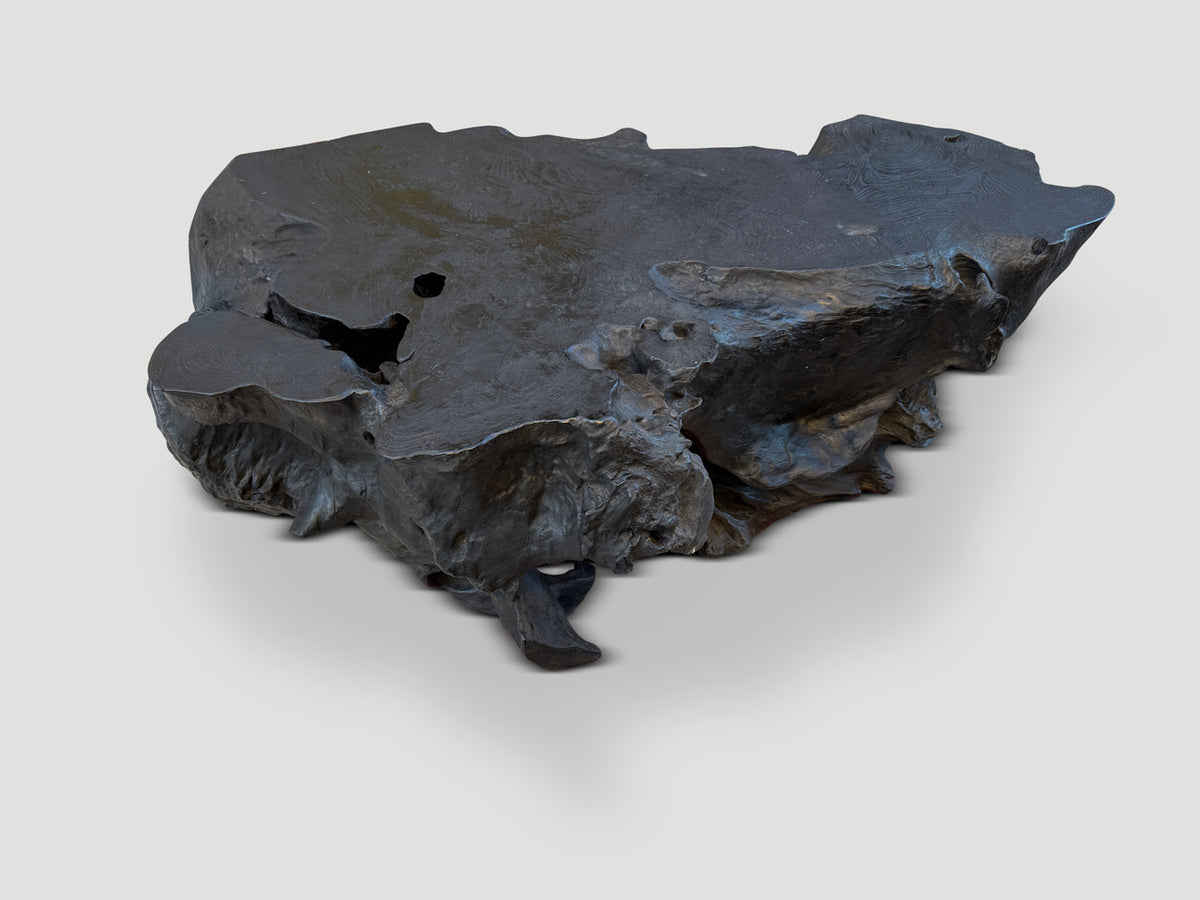 Sculptural Charred Teak Wood Coffee Table or Bench