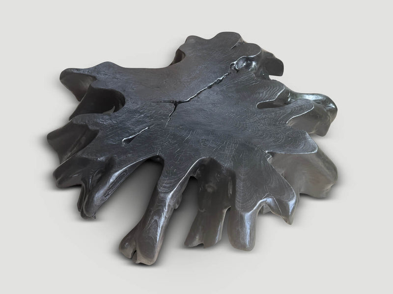 Amorphous Modern Organic Charred Coffee Table
