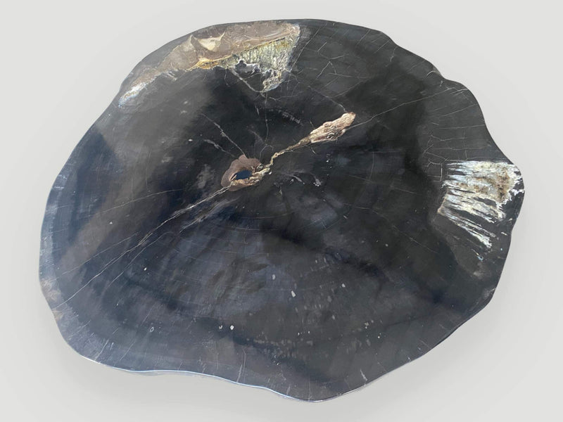 Super Smooth Petrified Wood Coffee Table with an Organic Teak Base