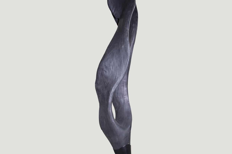 Charred Ribbon Sculpture