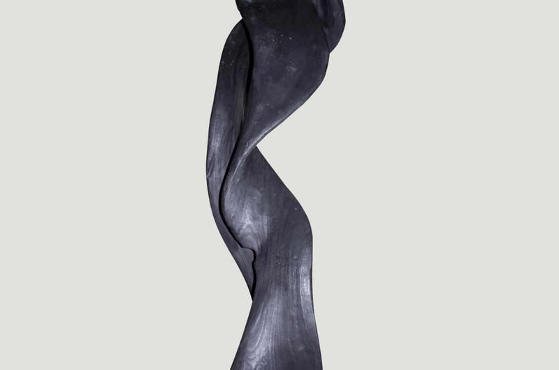 Charred Ribbon Sculpture