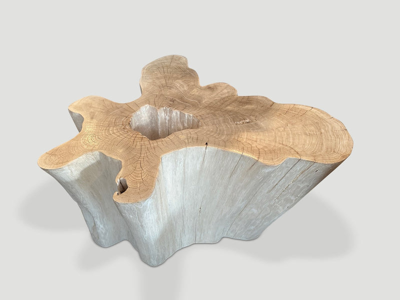 Amorphous Bleached Teak Wood Table