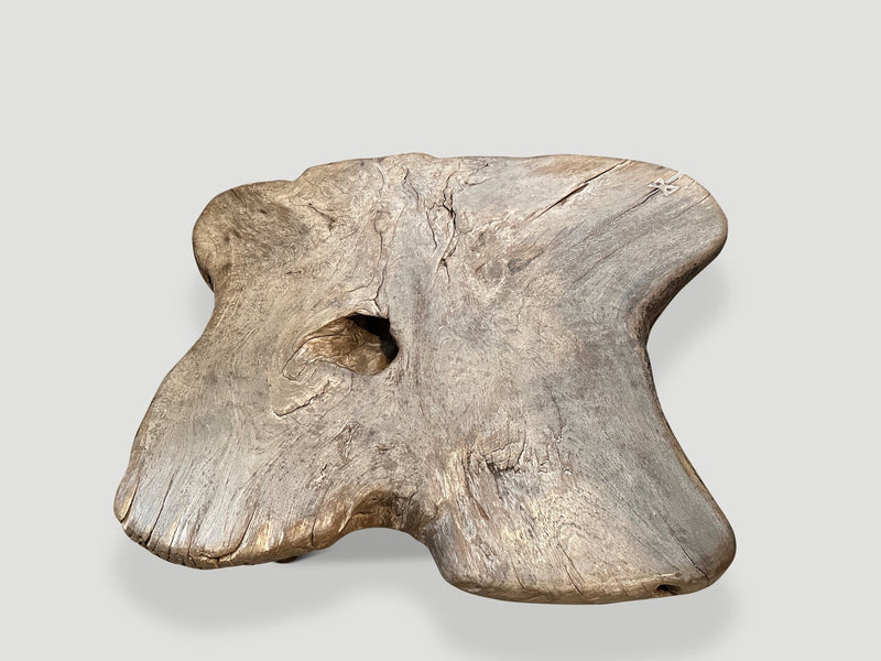 Impressive Single Slab Teak Wood Coffee Table