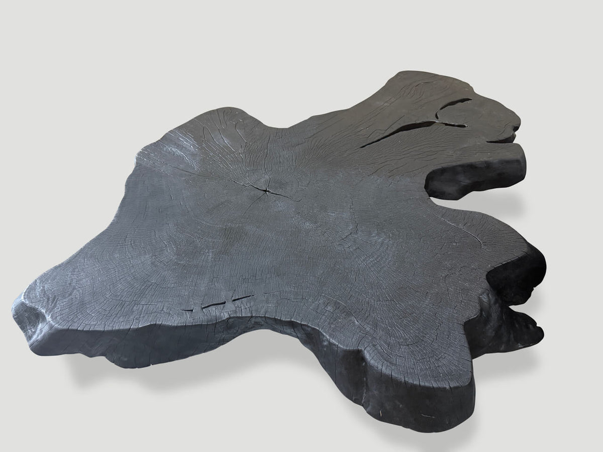 Modern Organic Charred Coffee Table