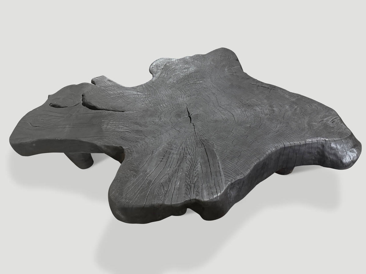 Modern Organic Charred Coffee Table