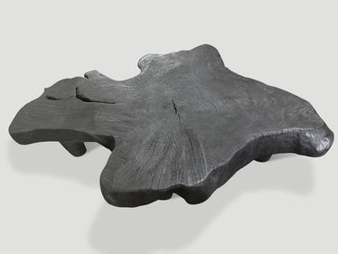 Modern Organic Charred Coffee Table