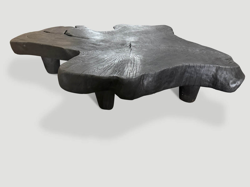 Modern Organic Charred Coffee Table