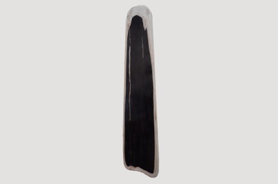Petrified Wood Slab