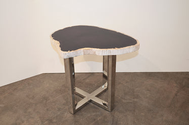 Petrified Wood Slab Table With Steel Base