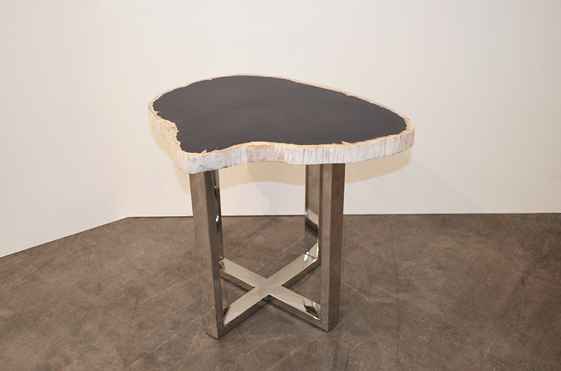 Petrified Wood Slab Table With Steel Base