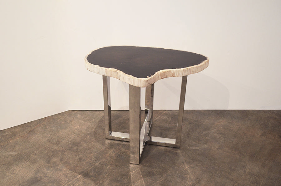 Petrified Wood Slab Table With Steel Base