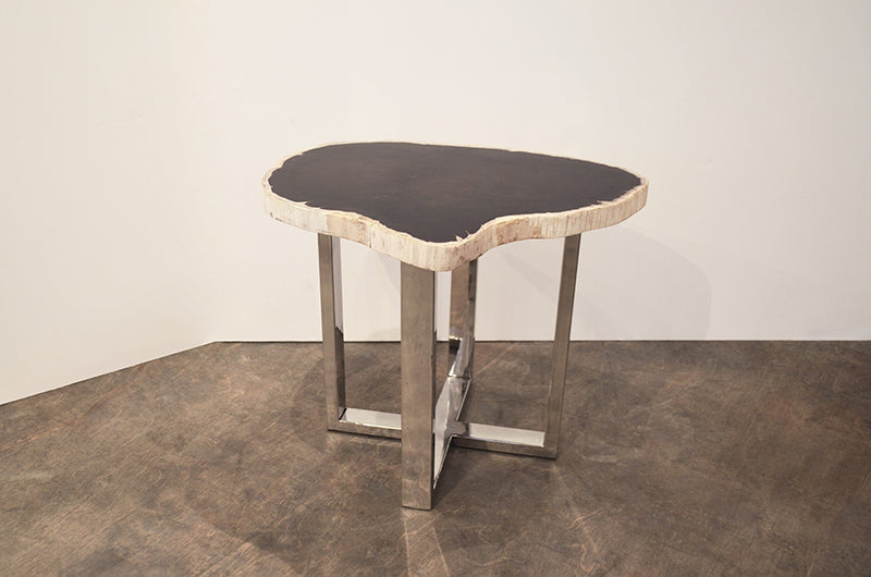 Petrified Wood Slab Table With Steel Base