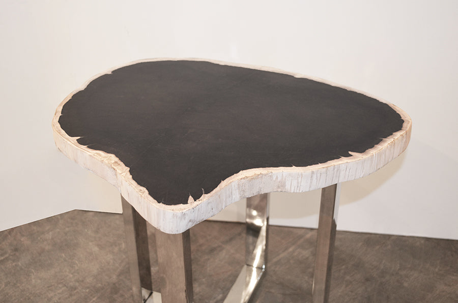 Petrified Wood Slab Table With Steel Base