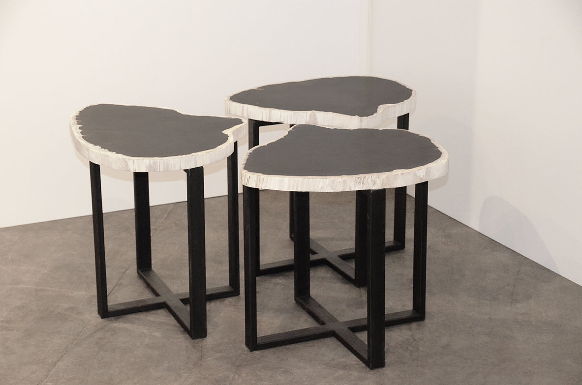 Petrified Wood Slab Table With Steel Base