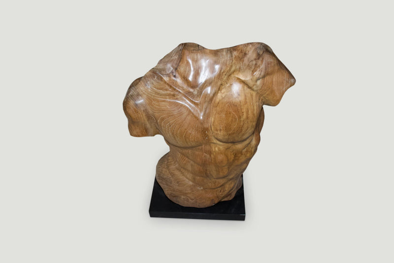 Male Torso