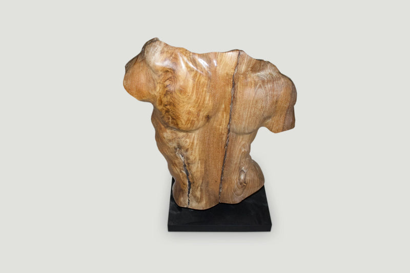 Male Torso