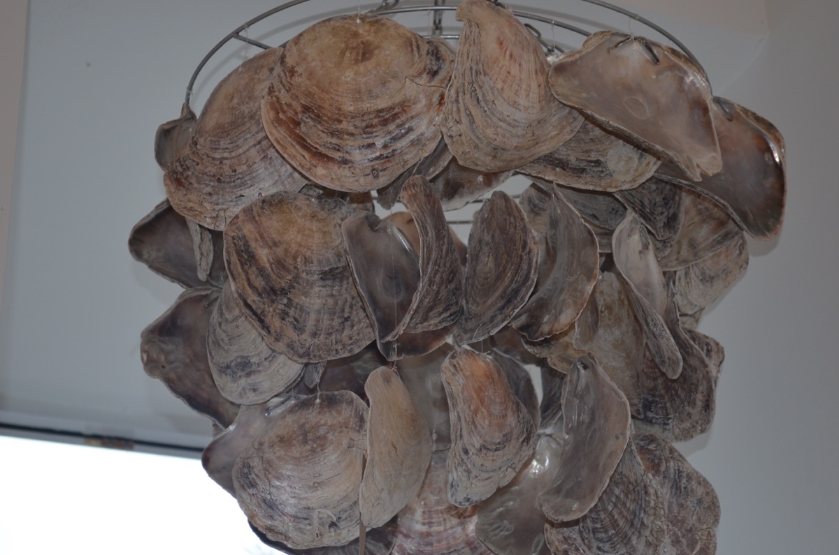 abalone shell