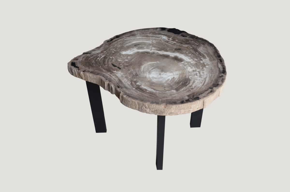 petrified wood slab side table