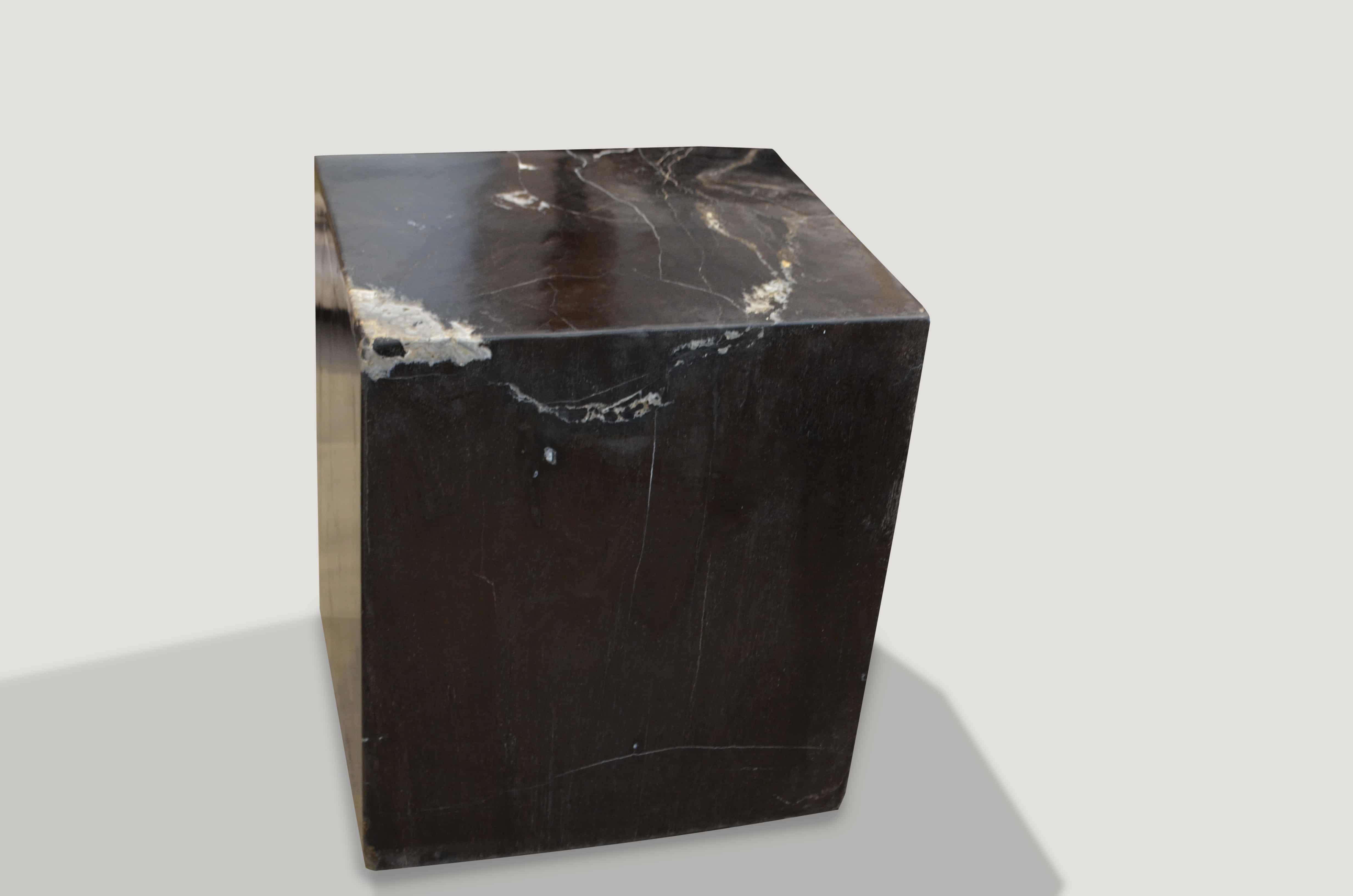 SUPER SMOOTH PETRIFIED WOOD SIDE TABLE