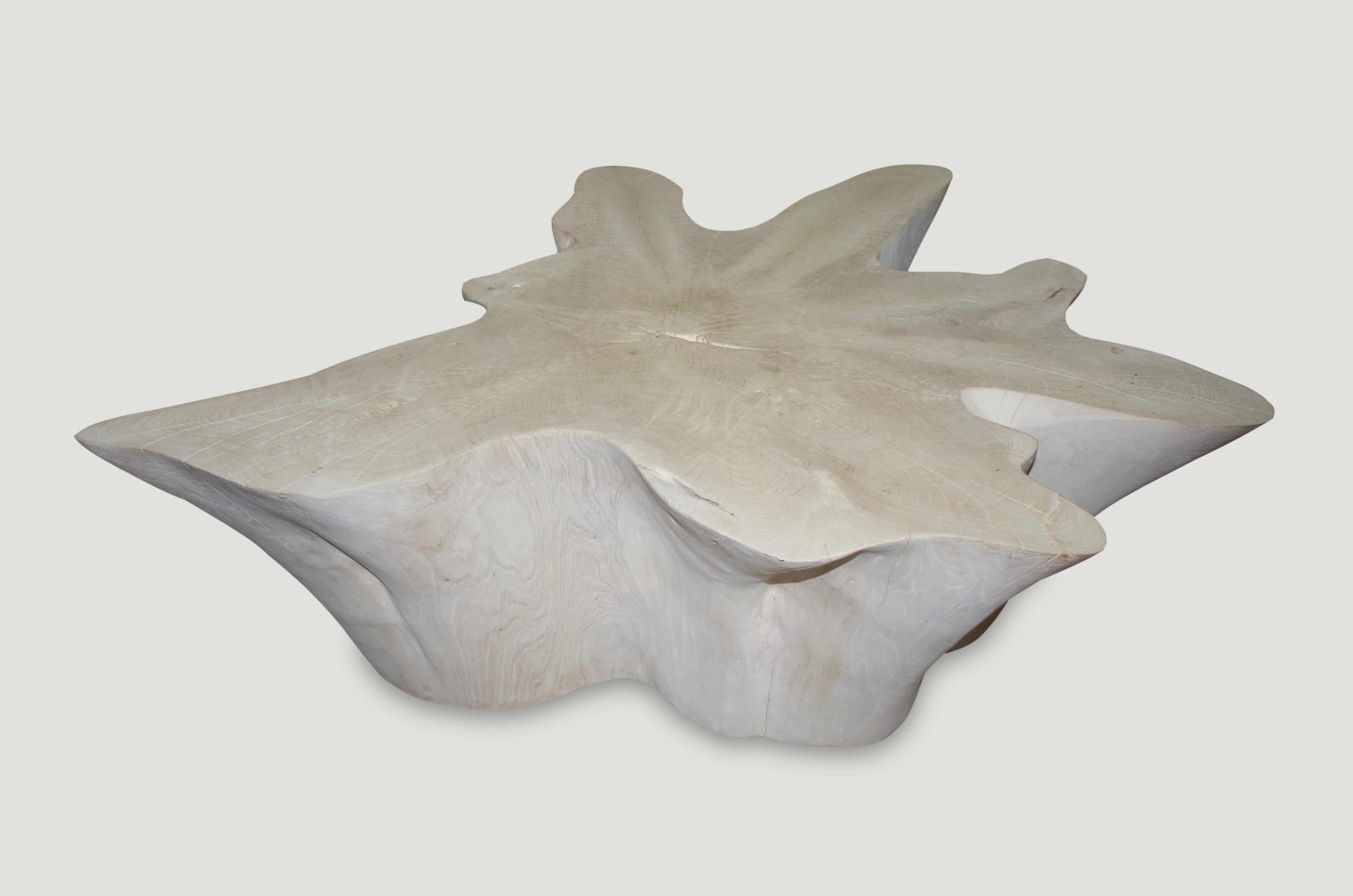 butterfly shaped bleached teak wood coffee table