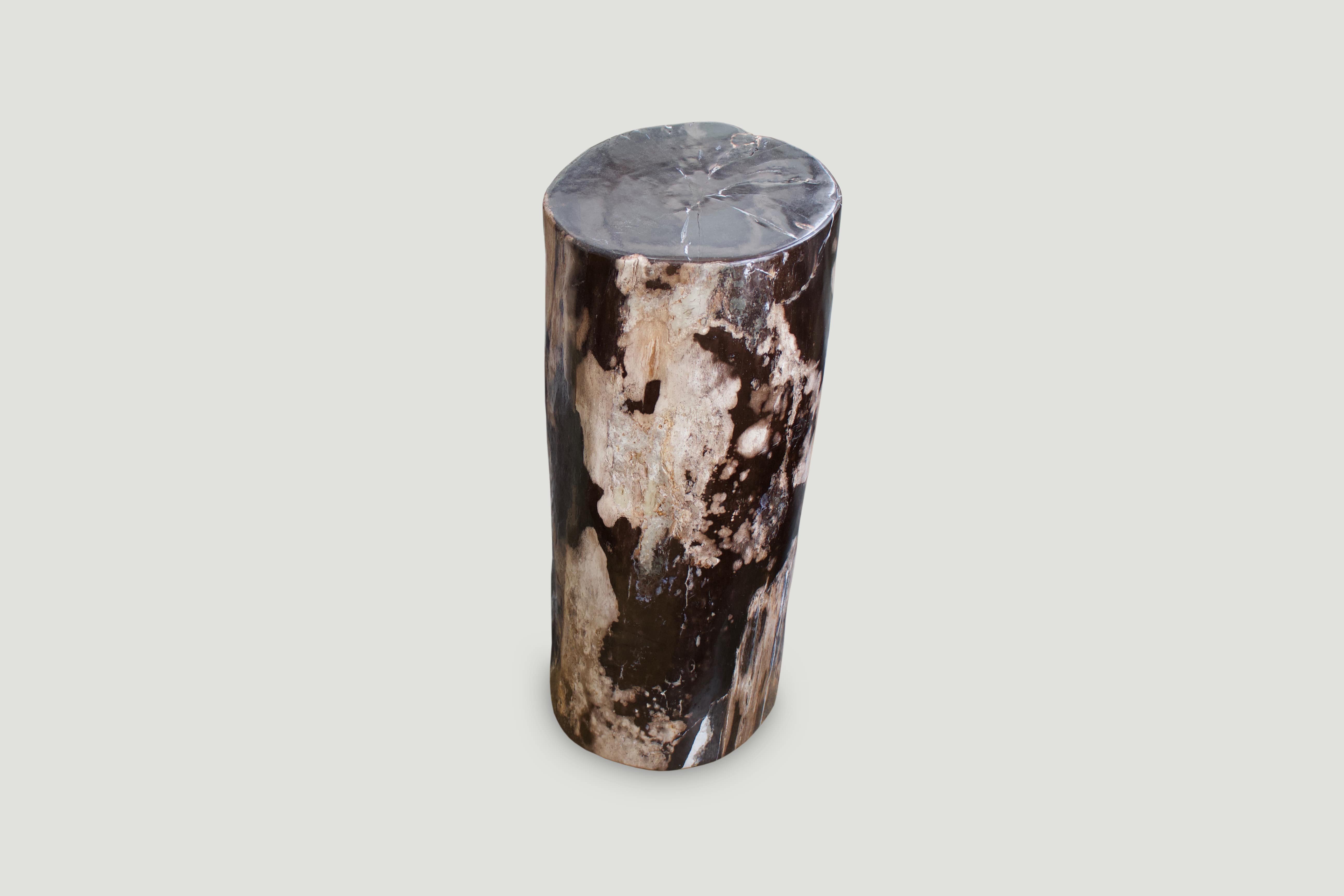 tall contrasting color toned petrified wood side table