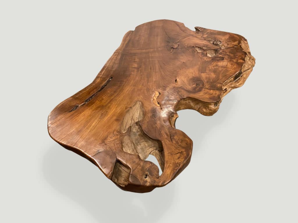 Single Slab Live Edge Coffee Table 250MR - Andrianna Shamaris