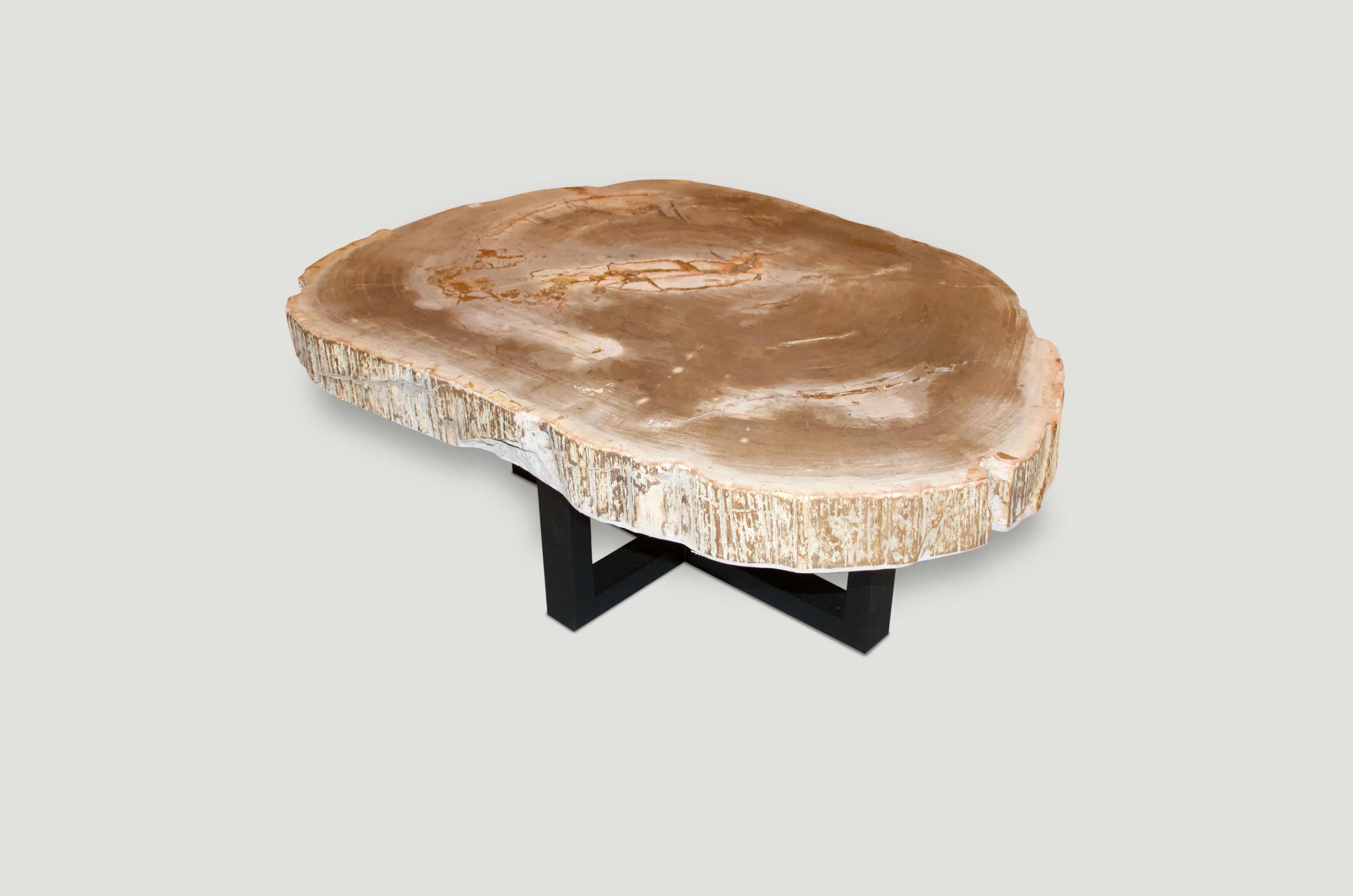 rare high quality petrified wood slab coffee table