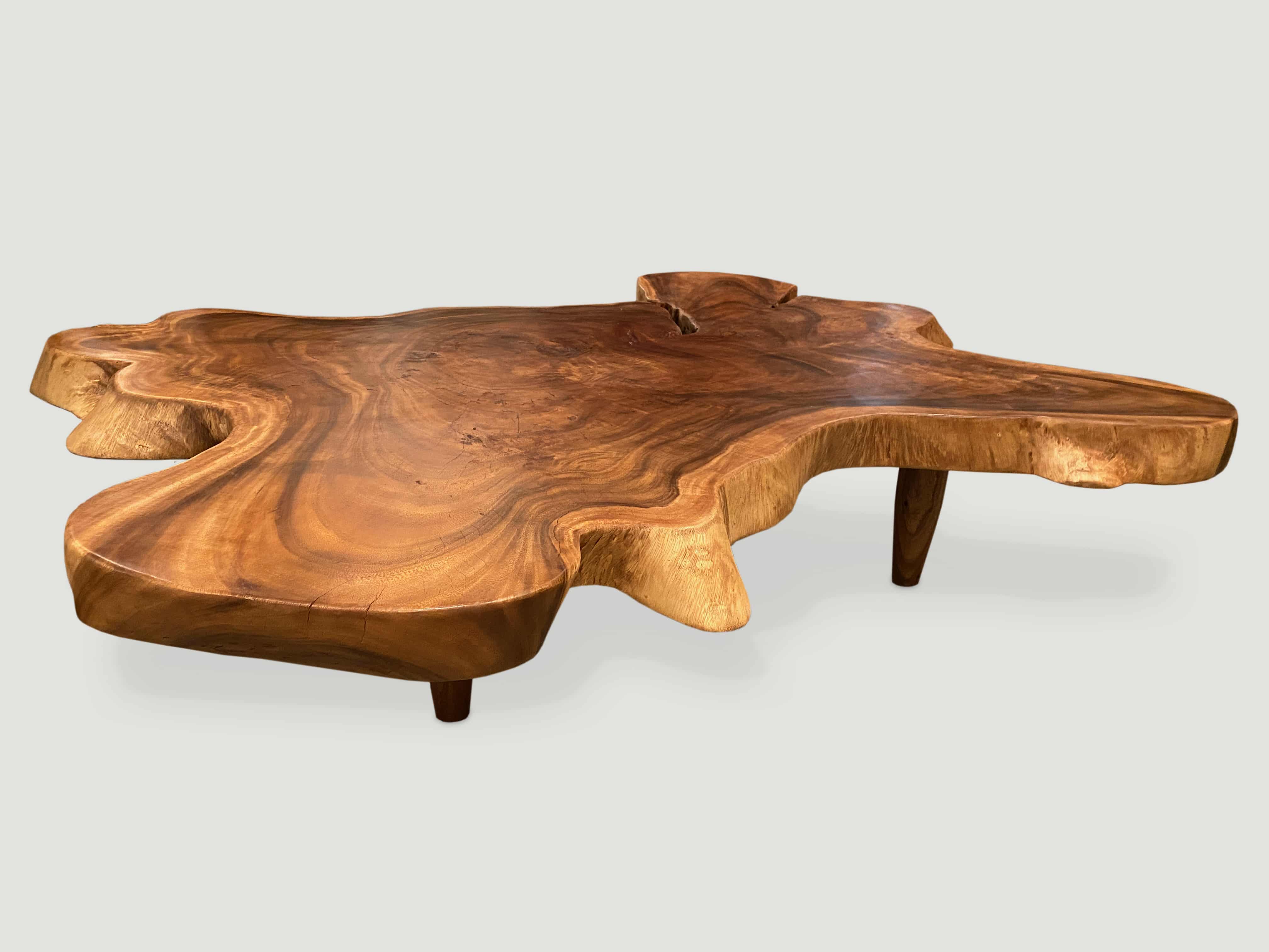 amorphous suar wood coffee table