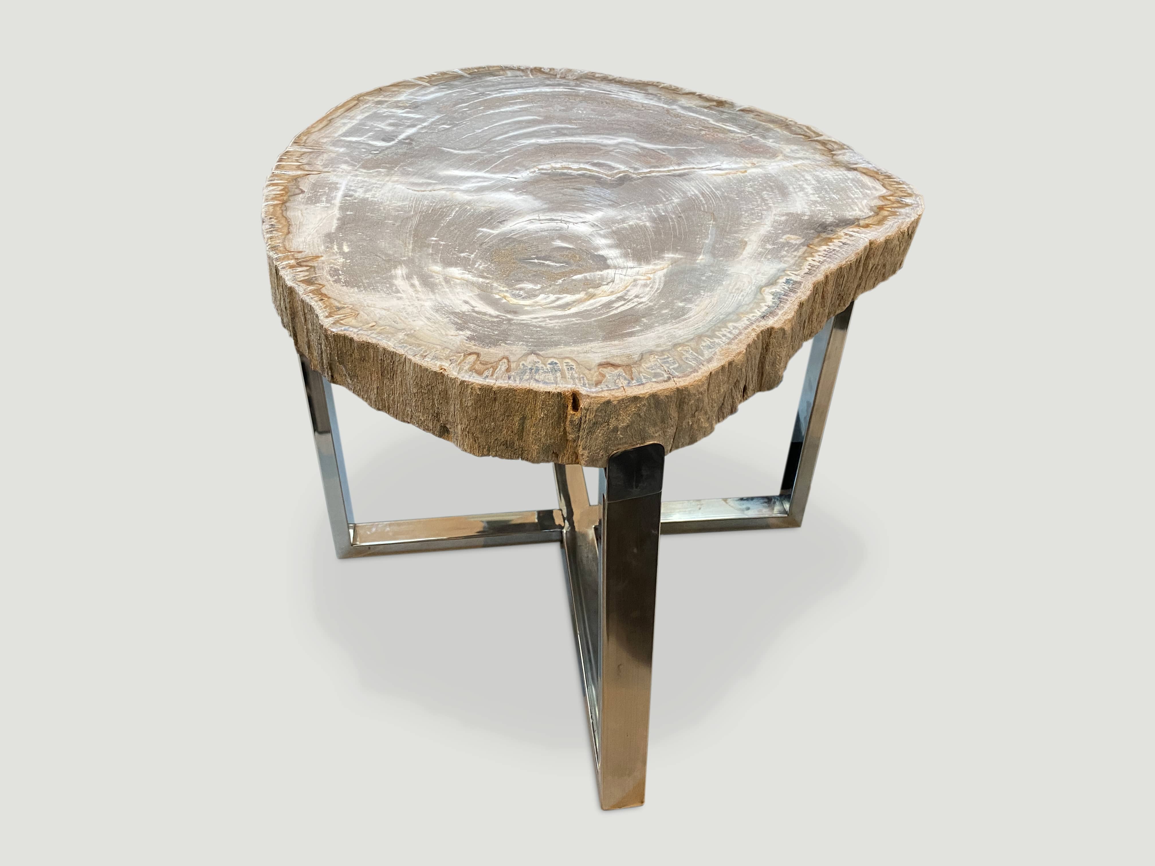 High Quality Petrified Wood Slab Top Side Table