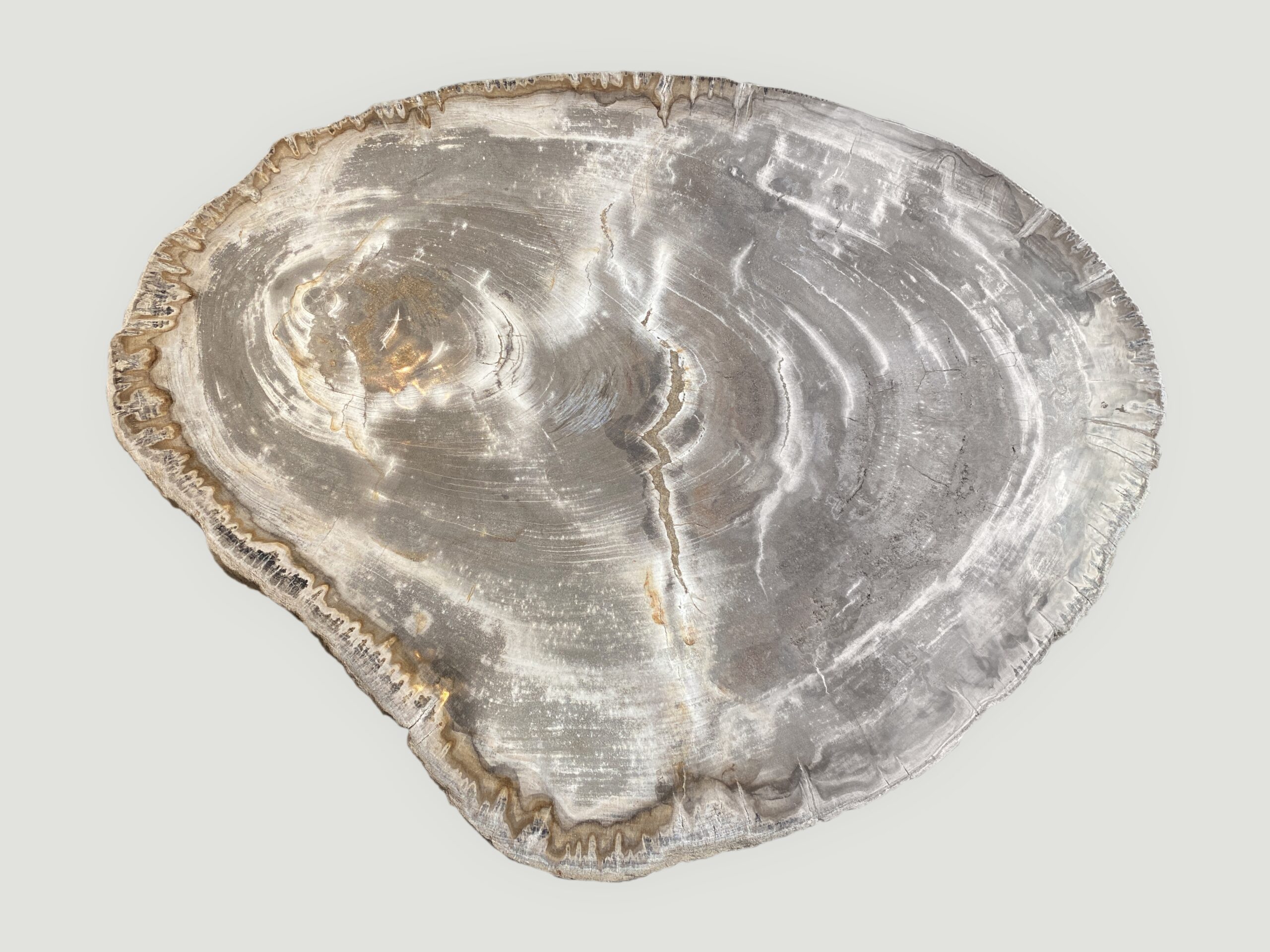 High Quality Petrified Wood Slab Top Side Table