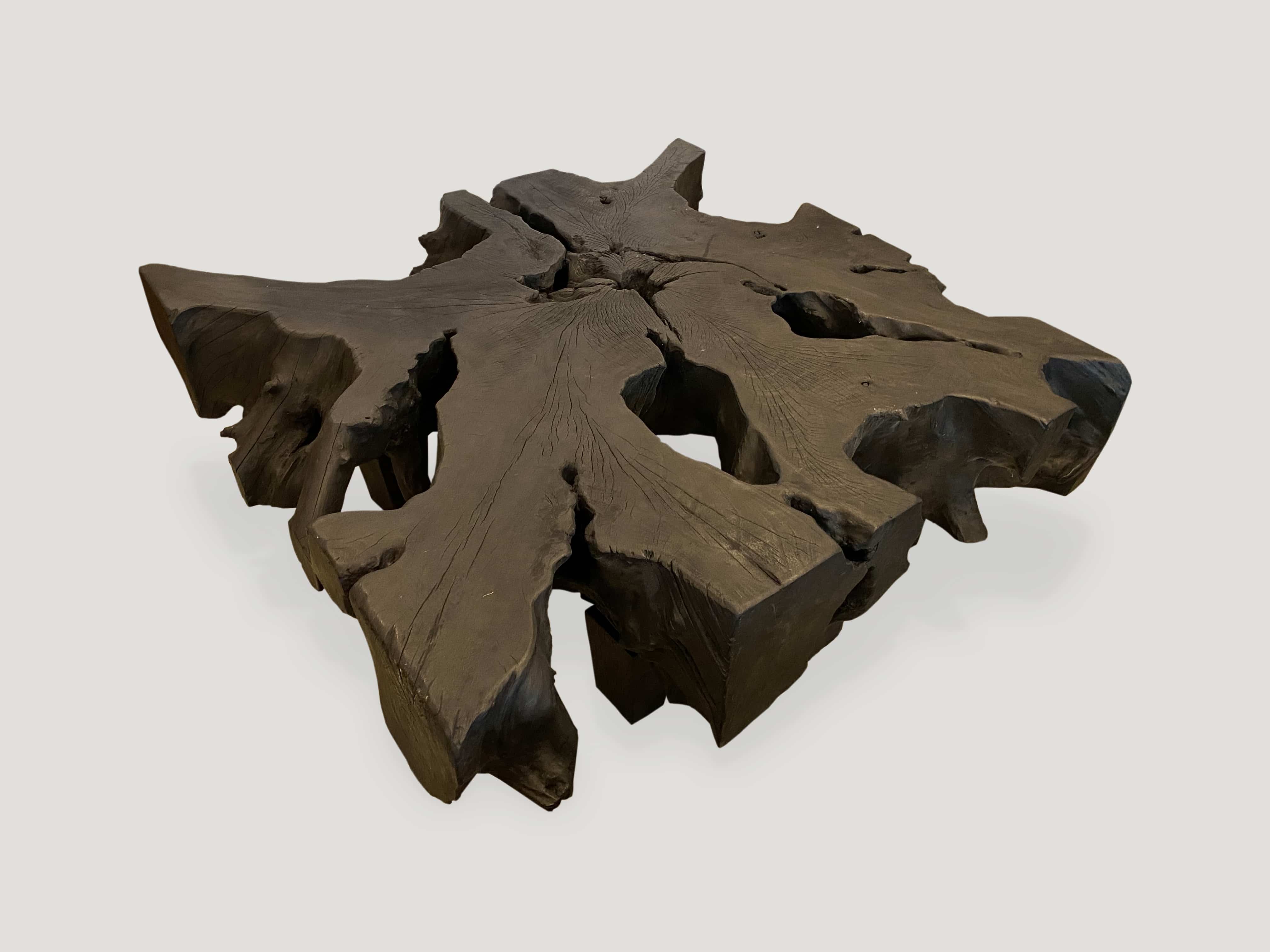 charred mahogany root coffee table