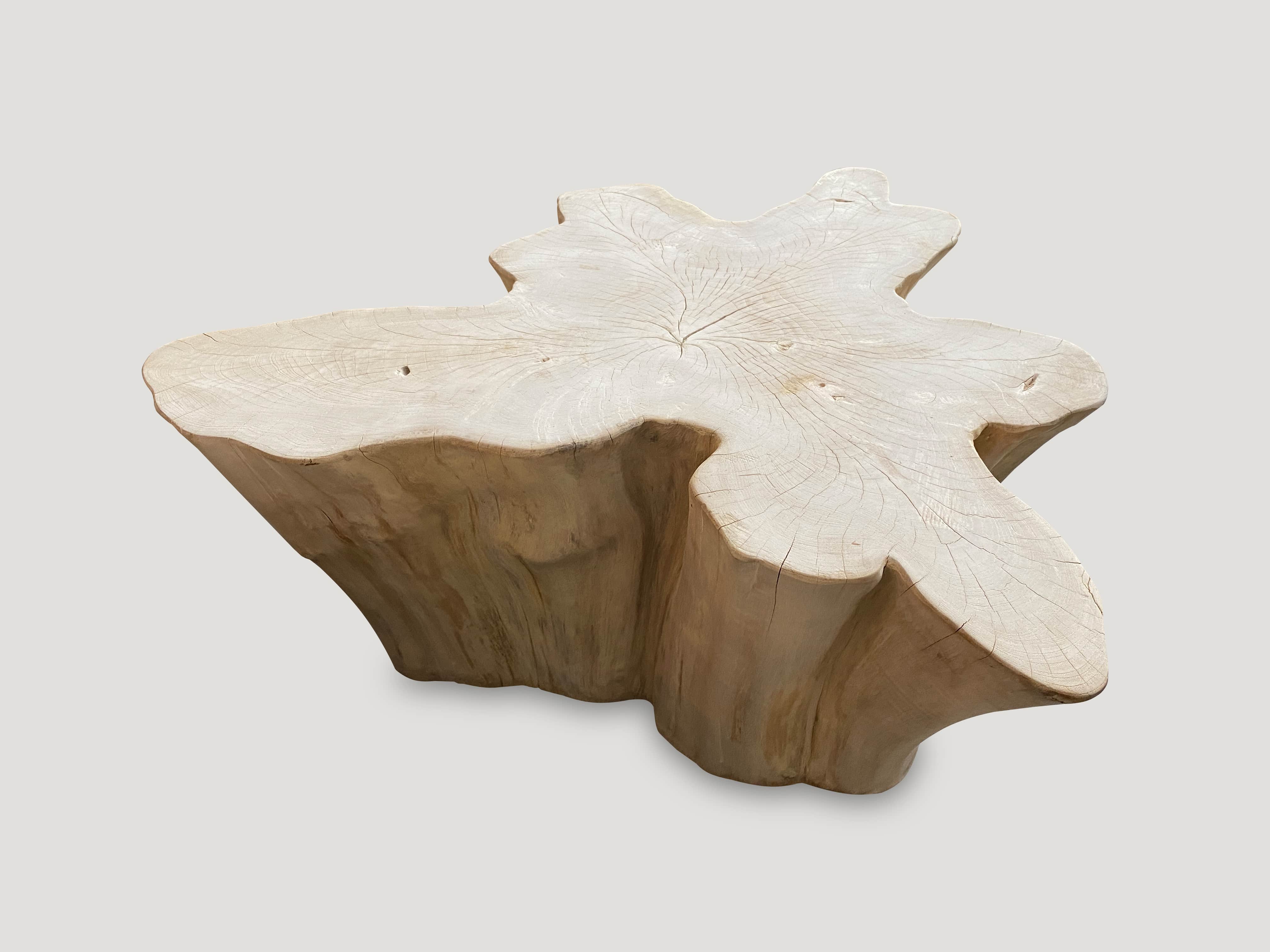 amorphous bleached teak wood coffee table