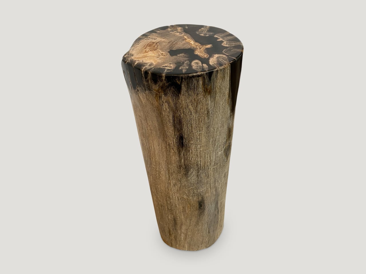 high quality petrified wood pedestal or side table