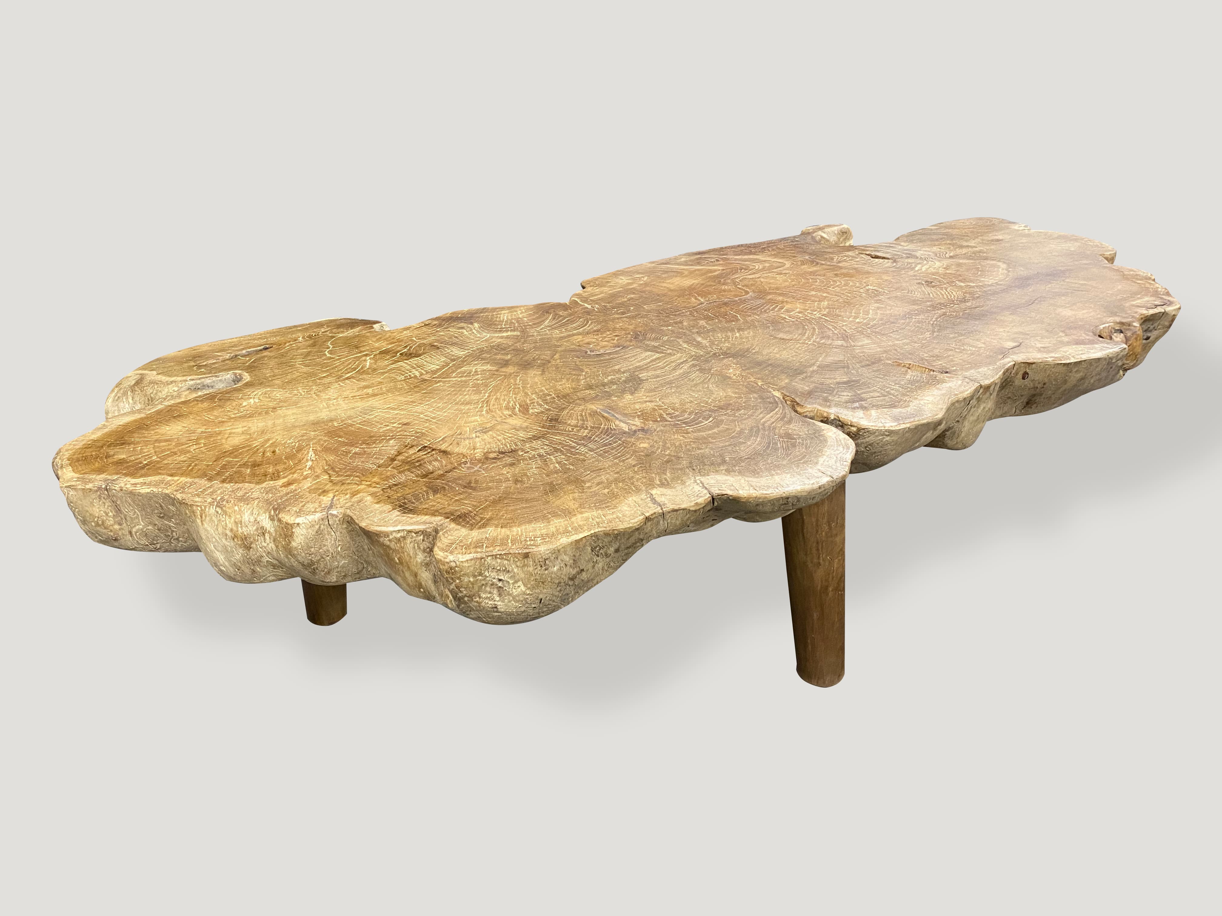 four inch thick reclaimed burl wood teak coffee table